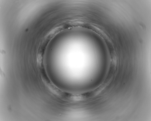 X0000091170767200708091204