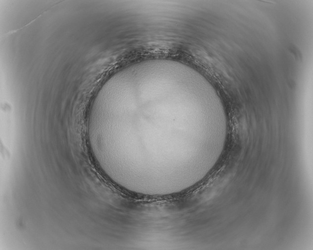 X0000091170769200708091204