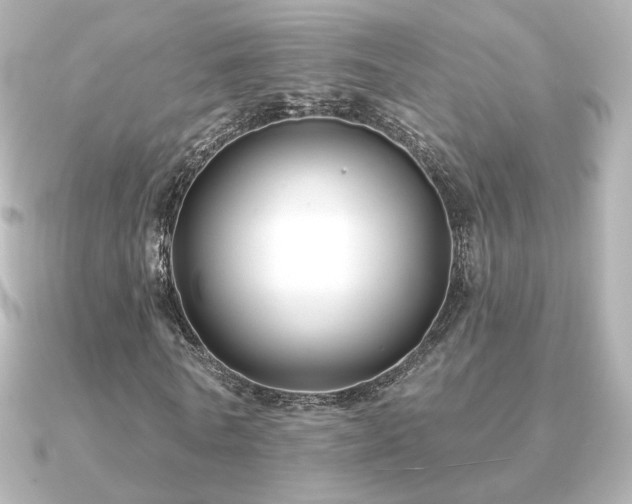X0000091170770200708091204
