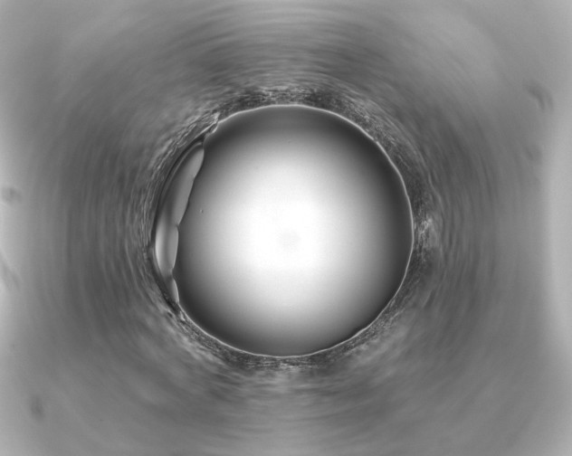 X0000091170772200708091204
