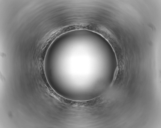 X0000091170773200708091204
