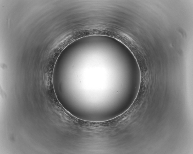 X0000091170774200708091204