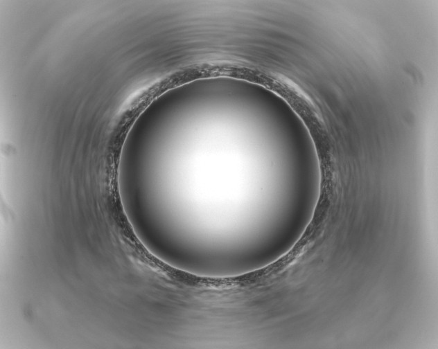 X0000091170775200708091204