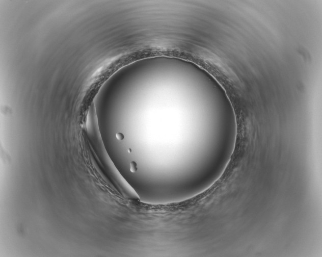 X0000091170776200708091203