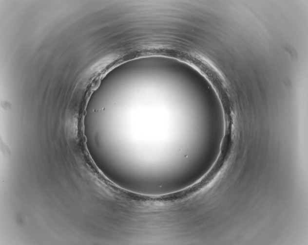 X0000091170777200708091203
