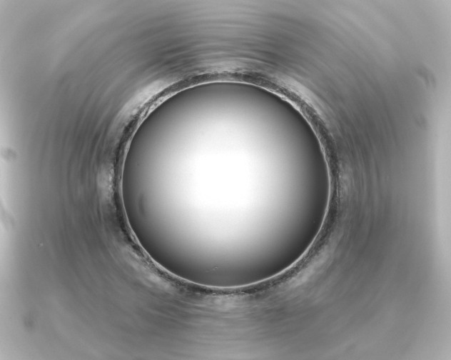 X0000091170778200708091203
