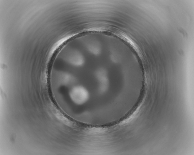 X0000091170779200708091203