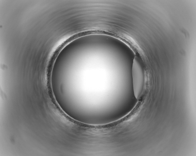 X0000091170780200708091203
