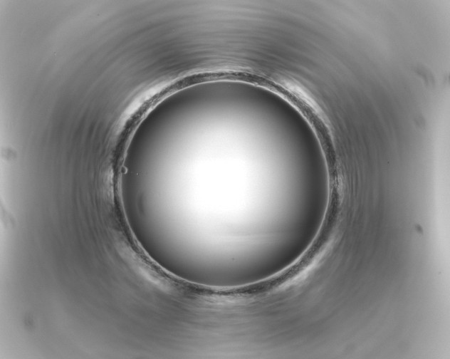 X0000091170781200708091203
