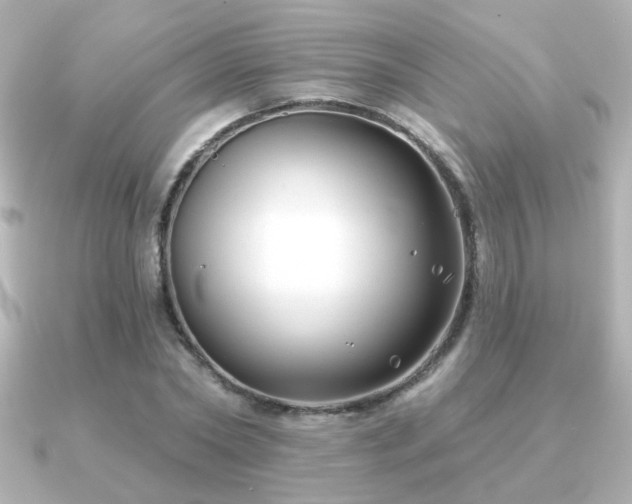 X0000091170782200708091203
