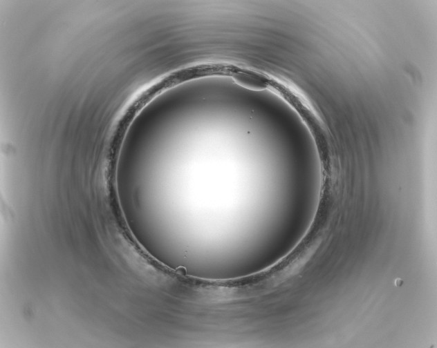 X0000091170783200708091203