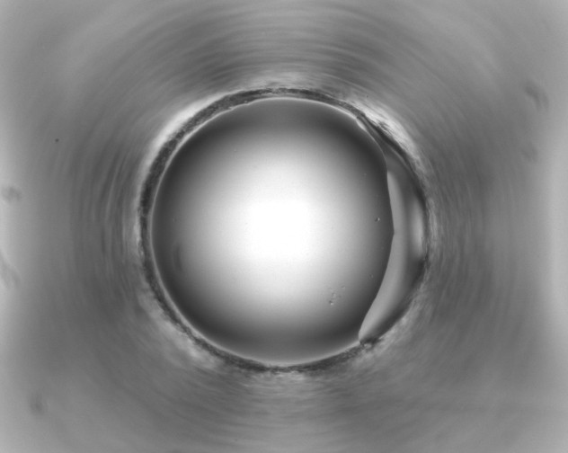 X0000091170784200708091203