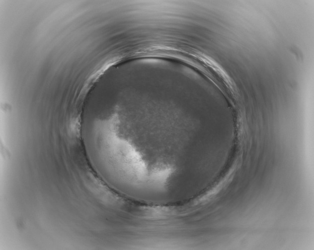 X0000091170785200708091203