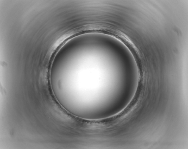 X0000091170786200708091203