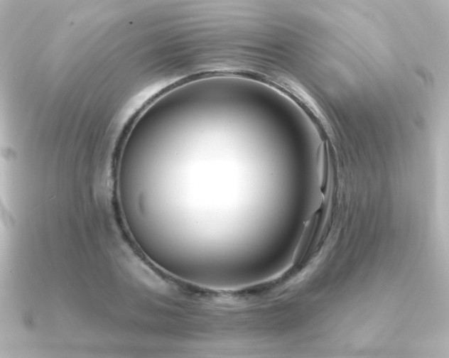 X0000091170787200708091203