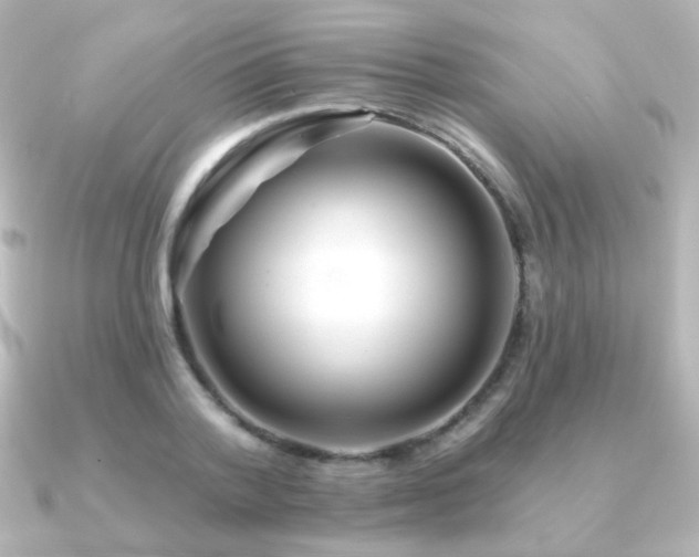 X0000091170788200708091203