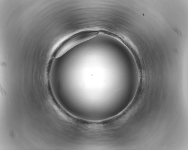 X0000091170789200708091203