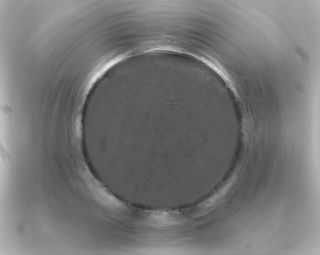X0000091170790200708091203