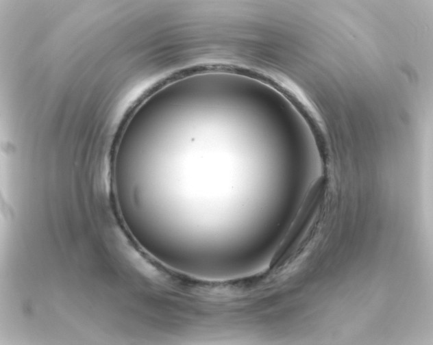 X0000091170791200708091203