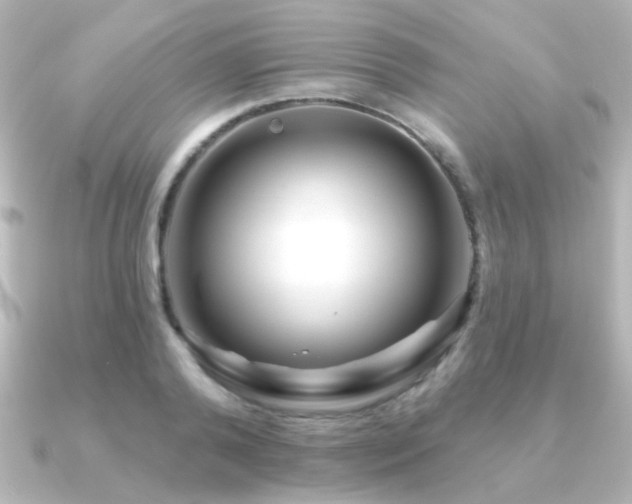 X0000091170792200708091203