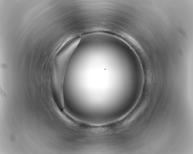 X0000091170793200708091203