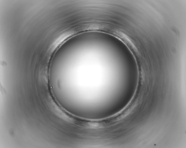 X0000091170794200708091203
