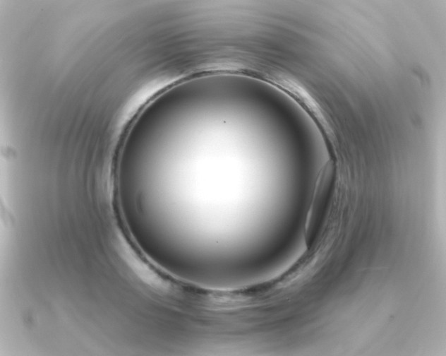 X0000091170795200708091203