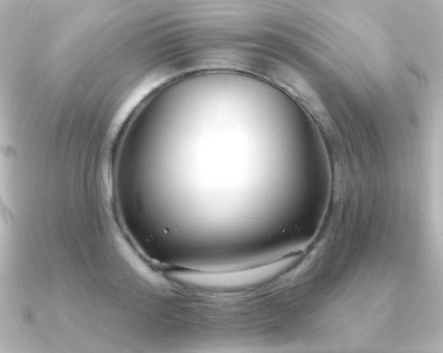 X0000091170796200708091203