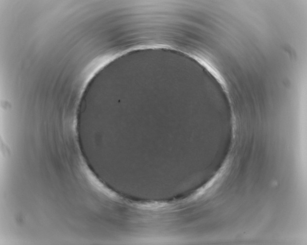 X0000091170797200708091203