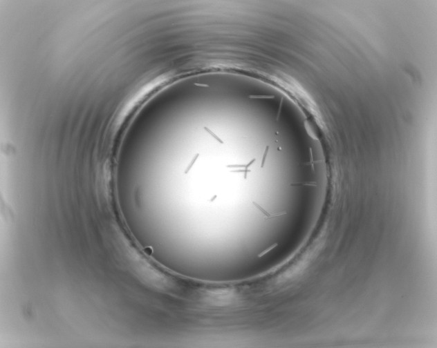 X0000091170798200708091203