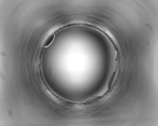 X0000091170799200708091203
