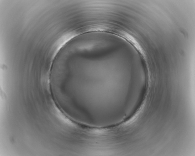 X0000091170802200708091203
