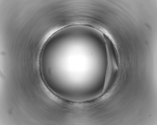 X0000091170803200708091203