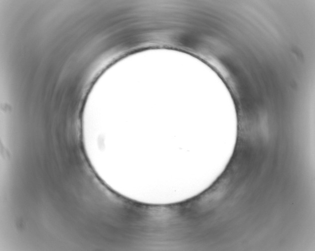 X0000091170807200708091203