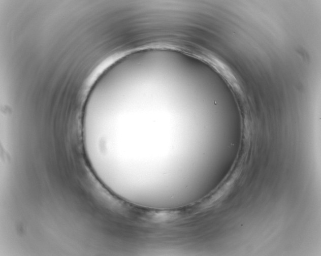 X0000091170808200708091203