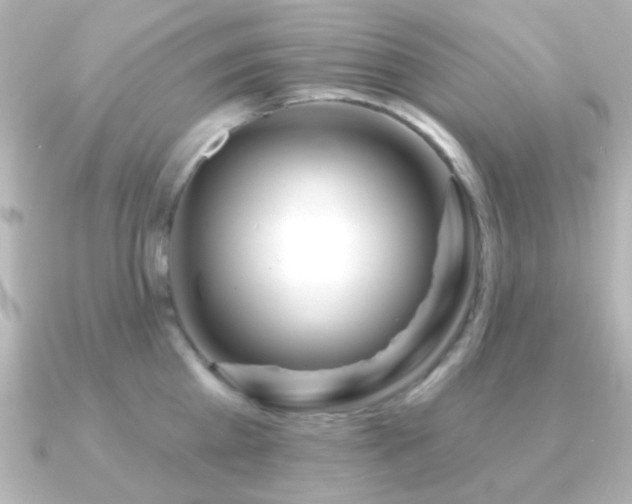 X0000091170809200708091203