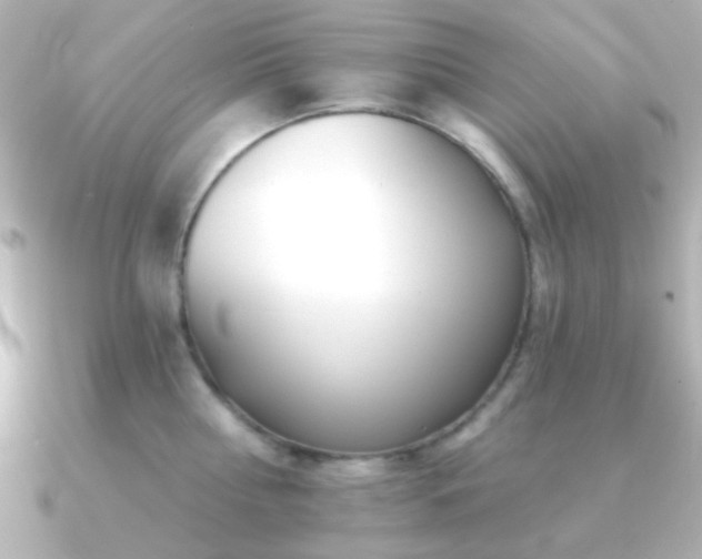 X0000091170810200708091203