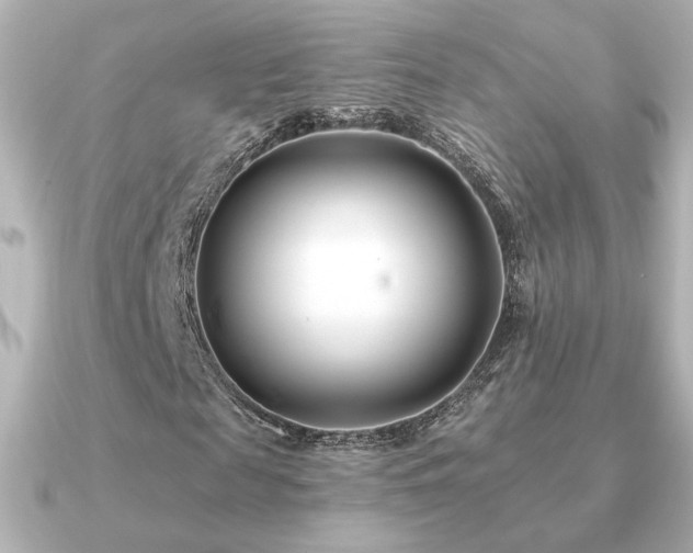 X0000091170817200708091202