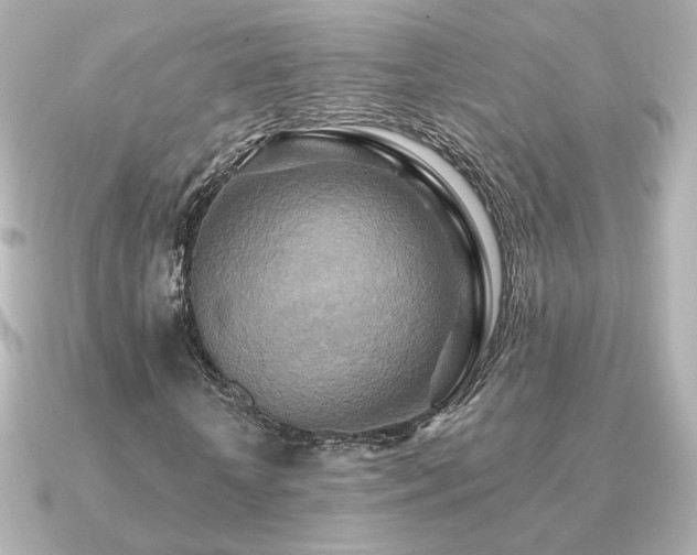 X0000091170818200708091202