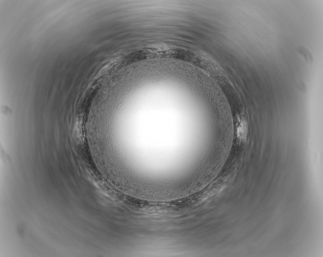 X0000091170819200708091203