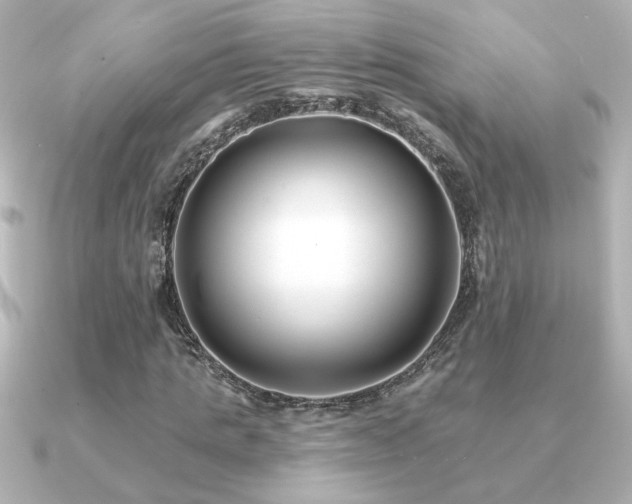 X0000091170821200708091203