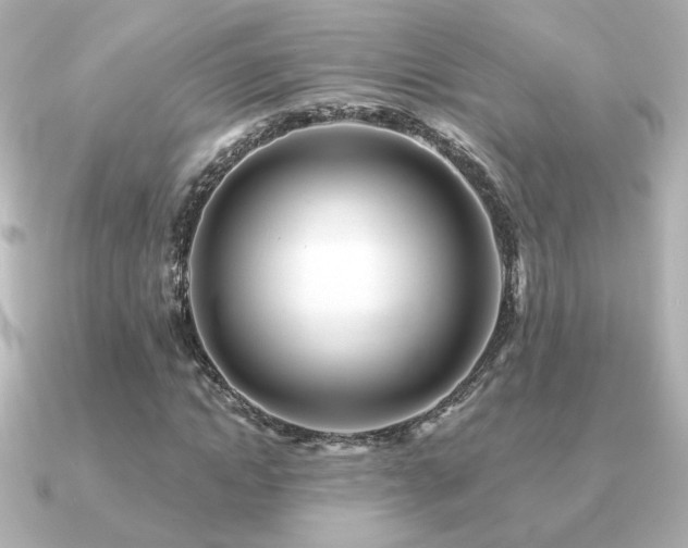 X0000091170822200708091203
