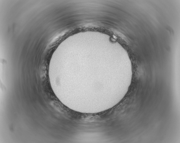 X0000091170824200708091203