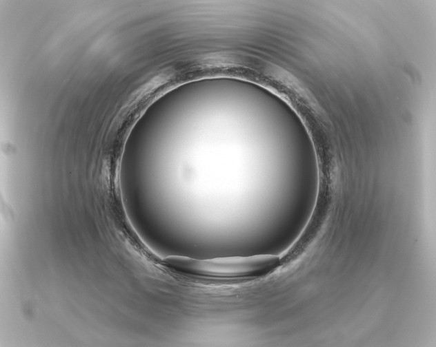 X0000091170825200708091203