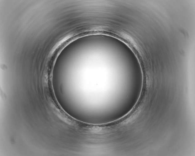 X0000091170827200708091203
