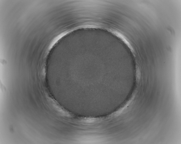 X0000091170829200708091203