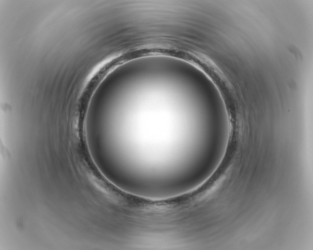 X0000091170830200708091203