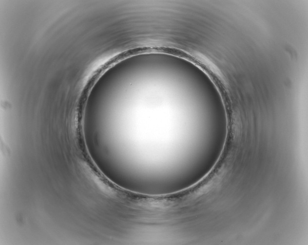 X0000091170831200708091203