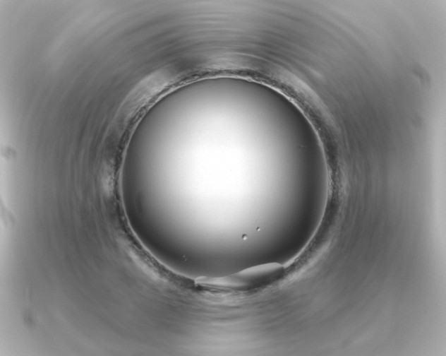 X0000091170833200708091203
