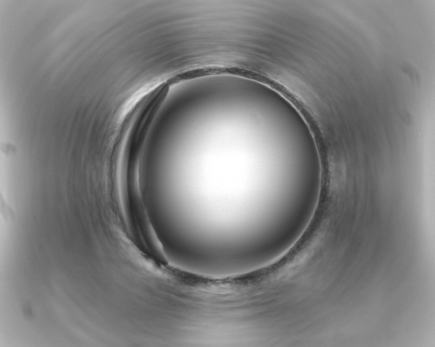 X0000091170834200708091203